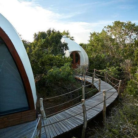 Wild Coast Tented Lodge ヤーラ エクステリア 写真